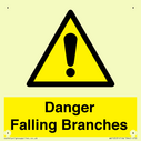 danger-falling-branches~